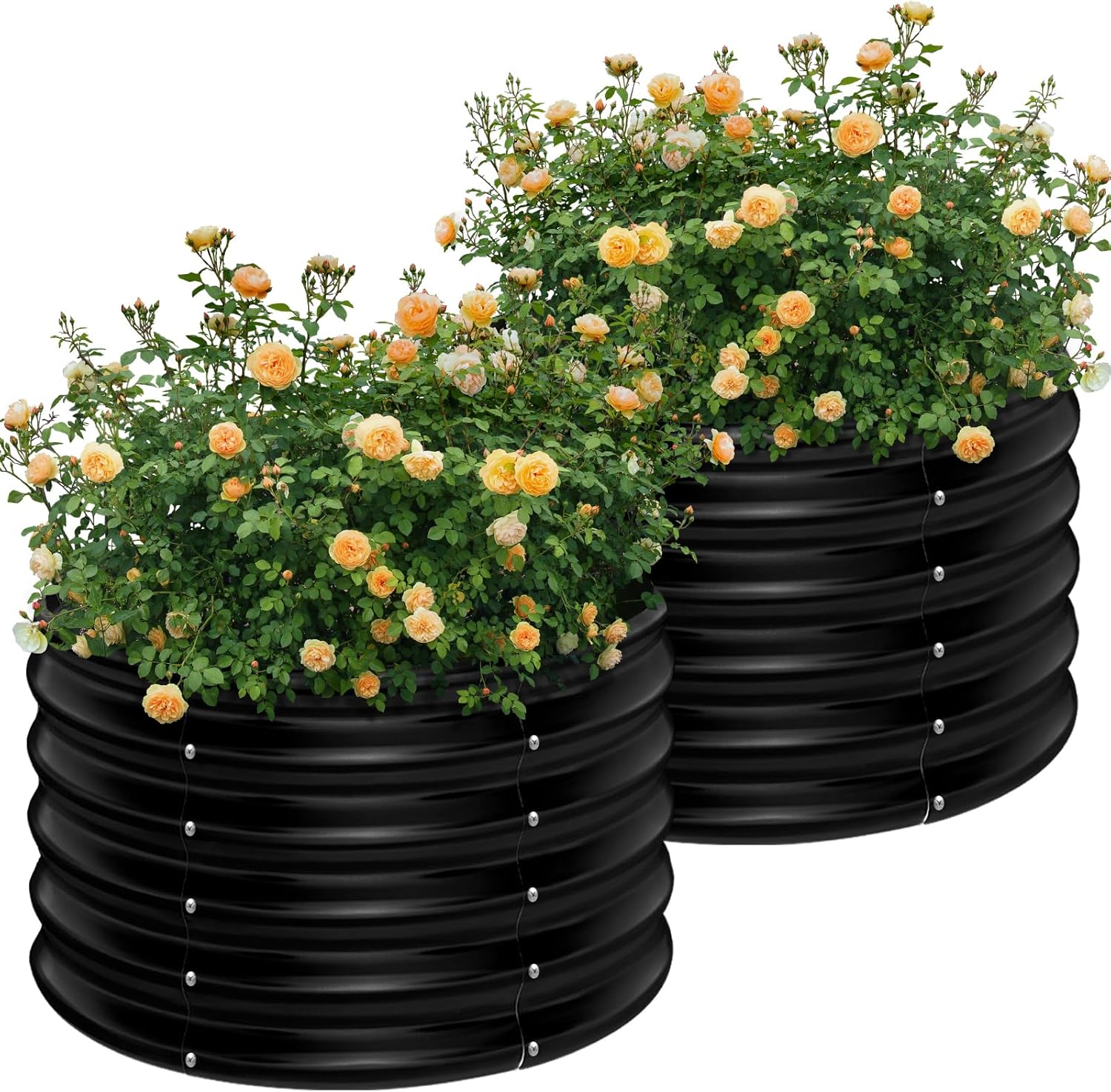 Planter Raised Metal - กระถางปลูกผักยกพื้นทรงกลมชุบสังกะสี ขนาด 2x2x1.5 ฟุต จำนวน 2