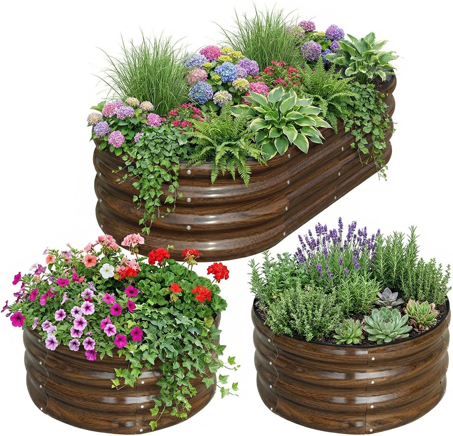 ชุดแปลงแปลงปลูกผักยกพื้นเหล็กช - Planter Raised Metal บทวิจารณ์และราคา