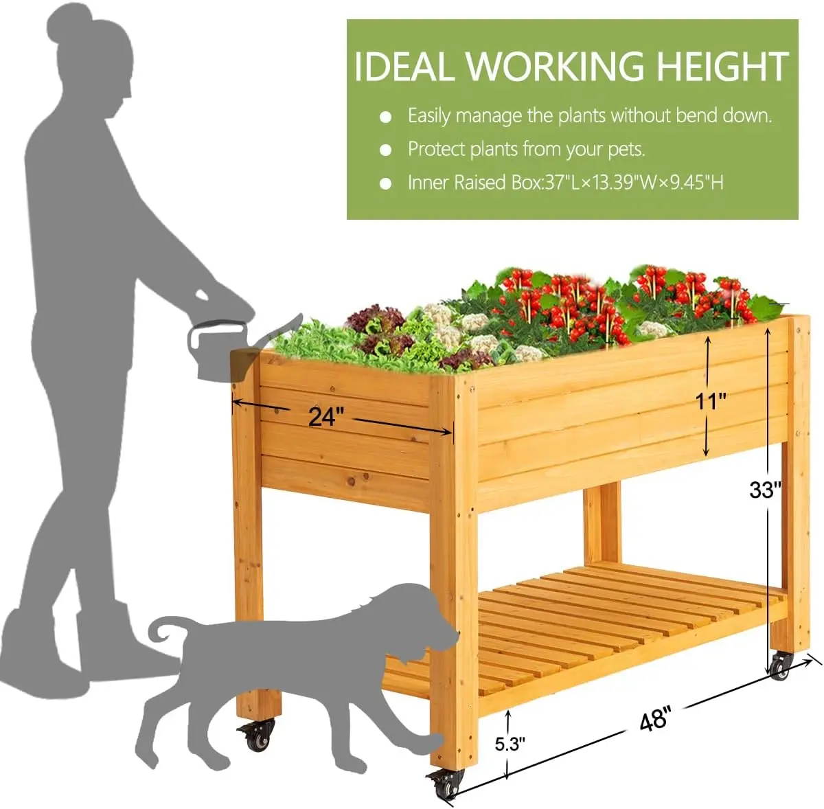 FORTUNO กระบะปลูกต้นไม้ยกสูงพร - Planter Raised Metal บทวิจารณ์และราคา